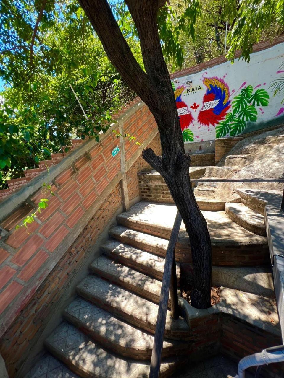 Hostal Kaia Santa Marta Dış mekan fotoğraf