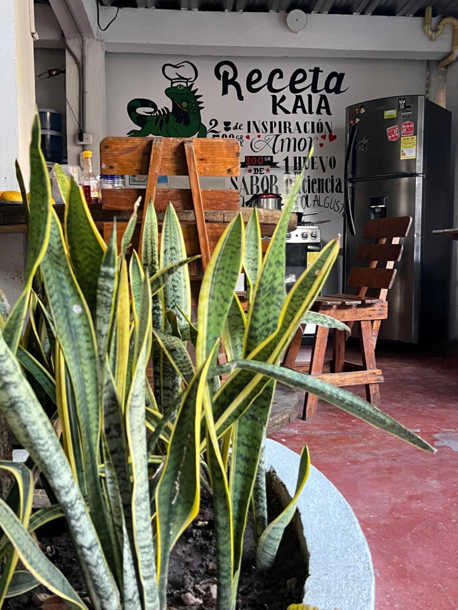 Hostal Kaia Santa Marta Dış mekan fotoğraf