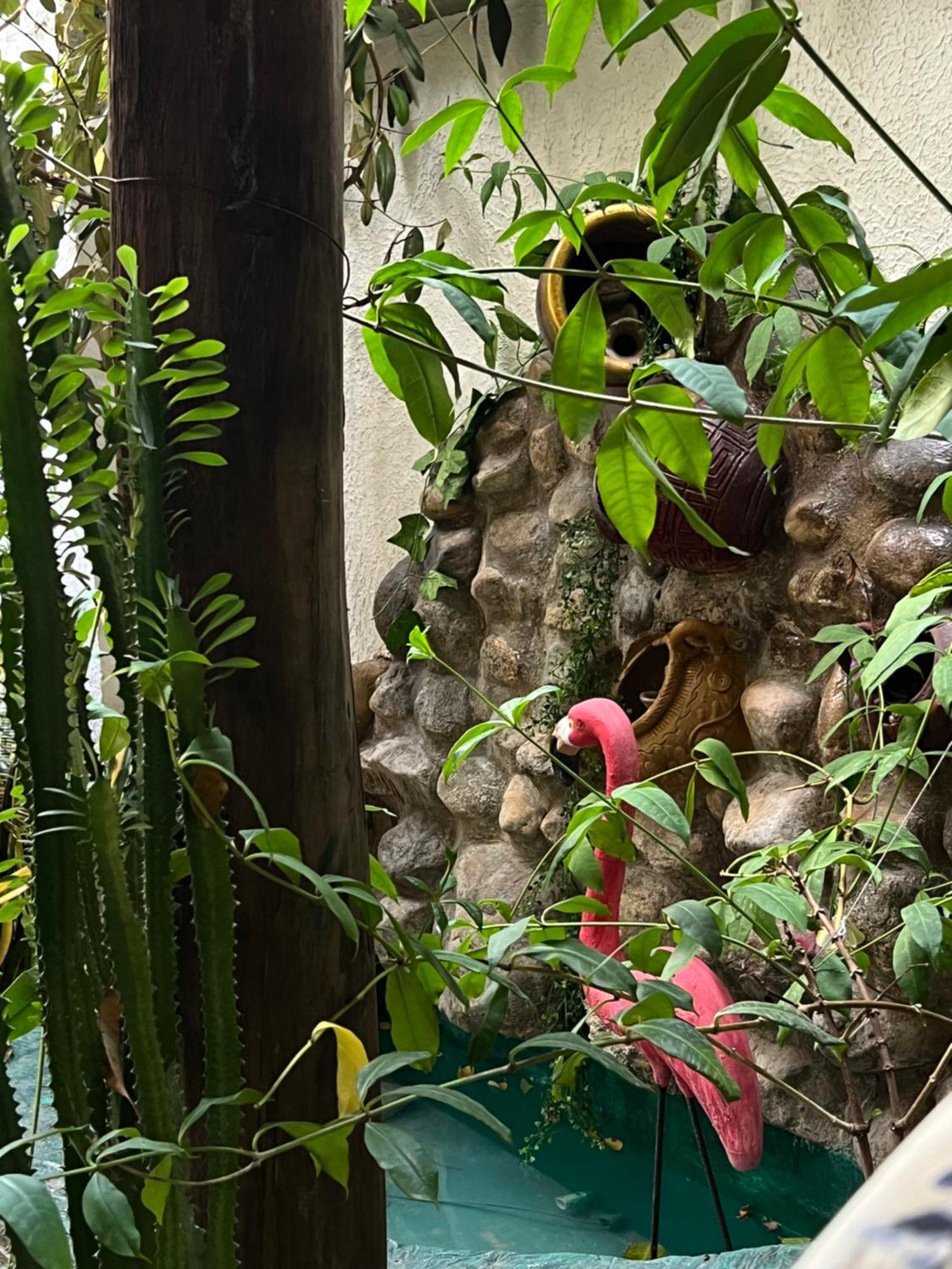 Hostal Kaia Santa Marta Dış mekan fotoğraf